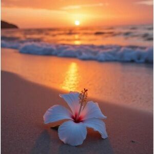 Offers welcome! Bundle and save $$$